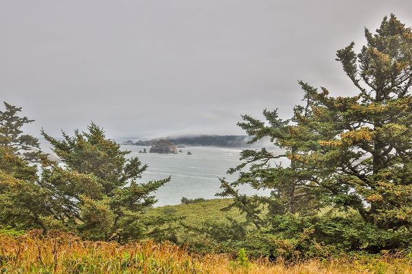 Looney, Hollice 아티스트의 Usa-Oregon-Port Orford Cape Blanco Lighthouse-Coast Near Cape Blanco Lighthouse작품입니다.